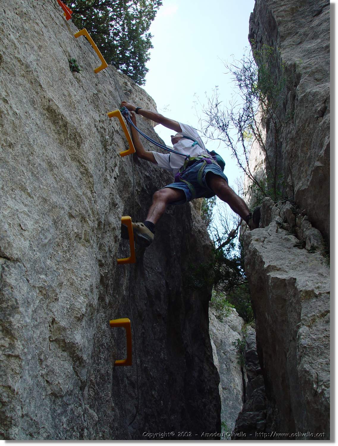 Ferrada_018.jpg