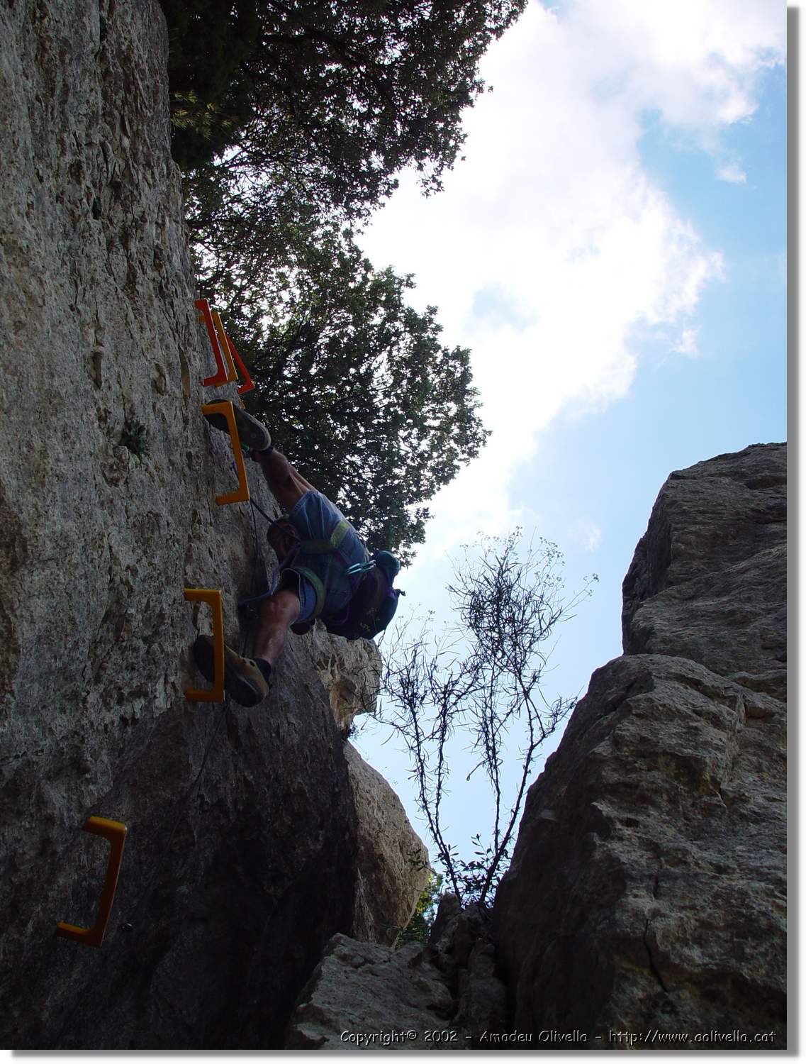 Ferrada_019.jpg