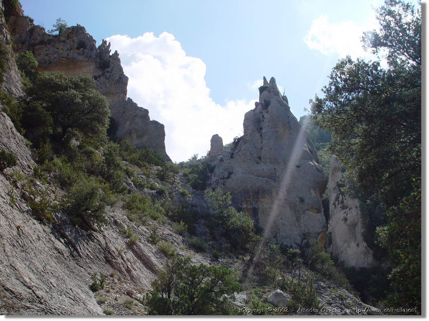 Ferrada_020.jpg