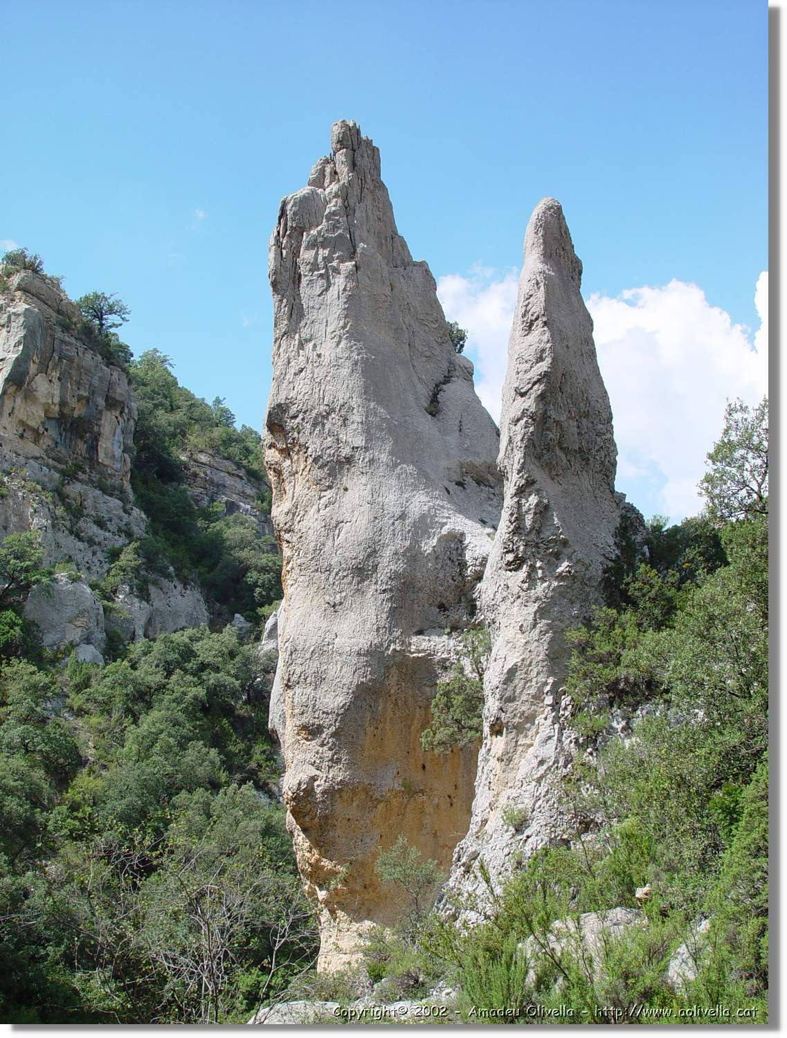 Ferrada_023.jpg