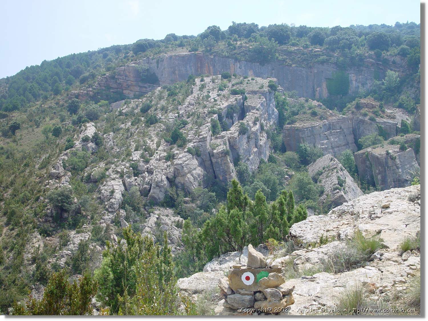 Ferrada_024.jpg