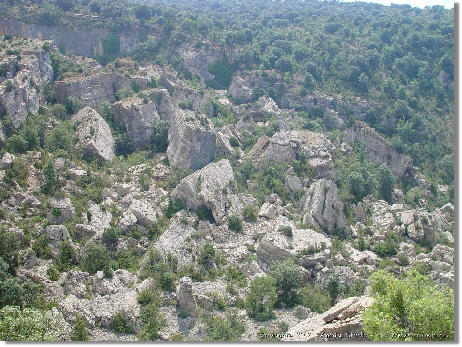 Ferrada_025.jpg