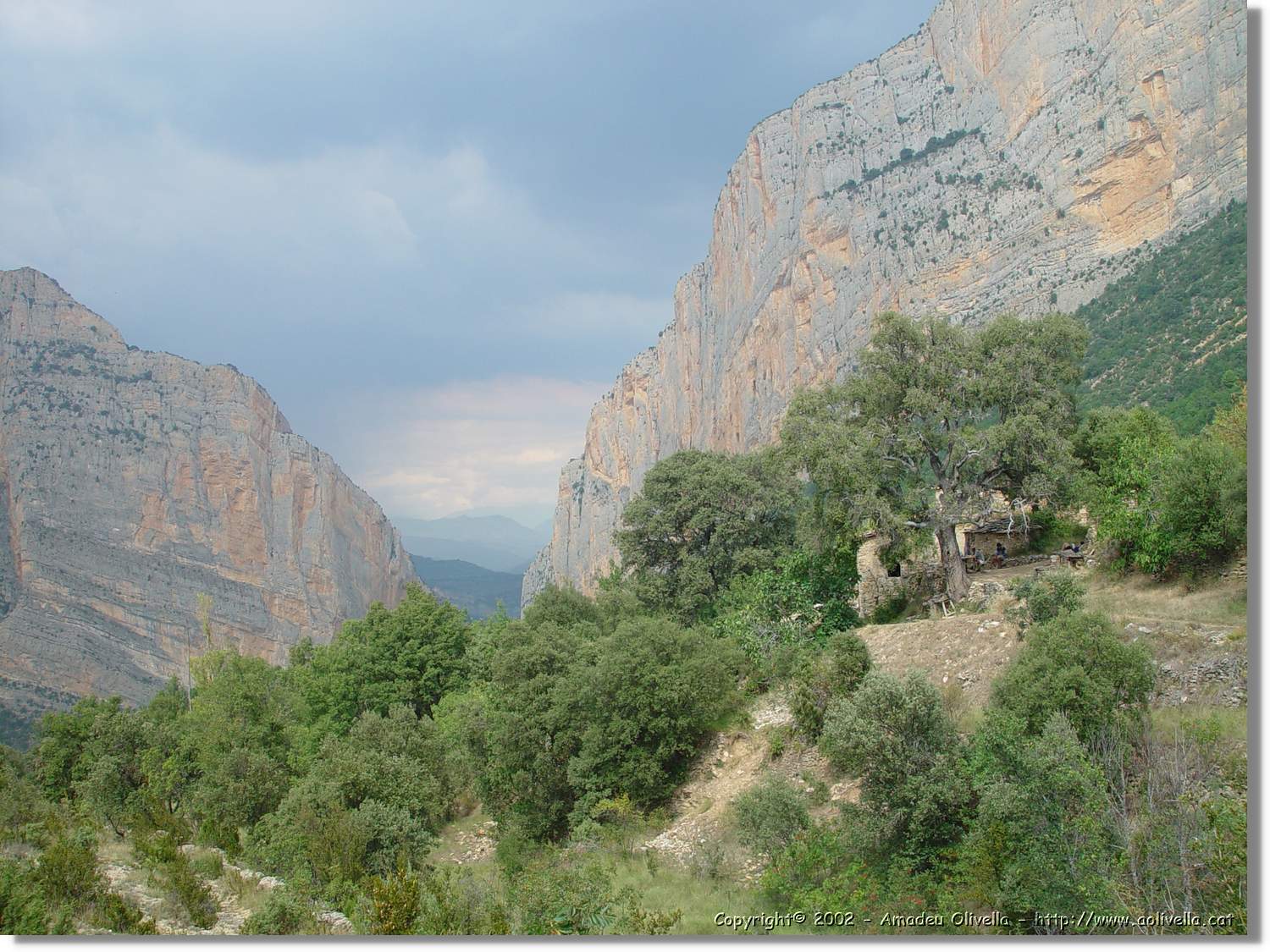 Ferrada_031.jpg