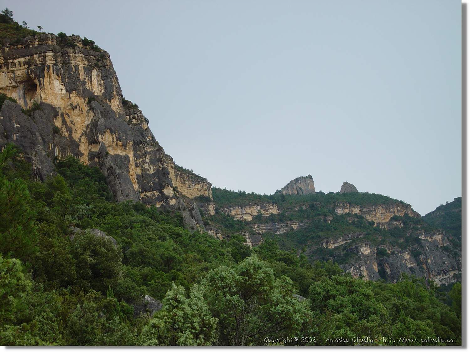 Ferrada_034.jpg