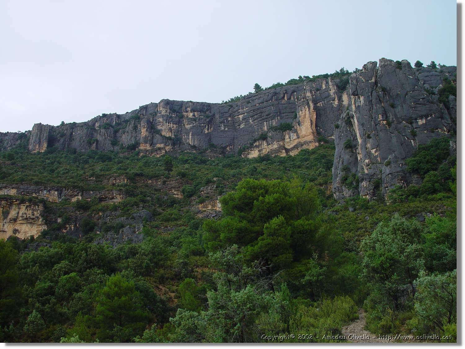 Ferrada_035.jpg