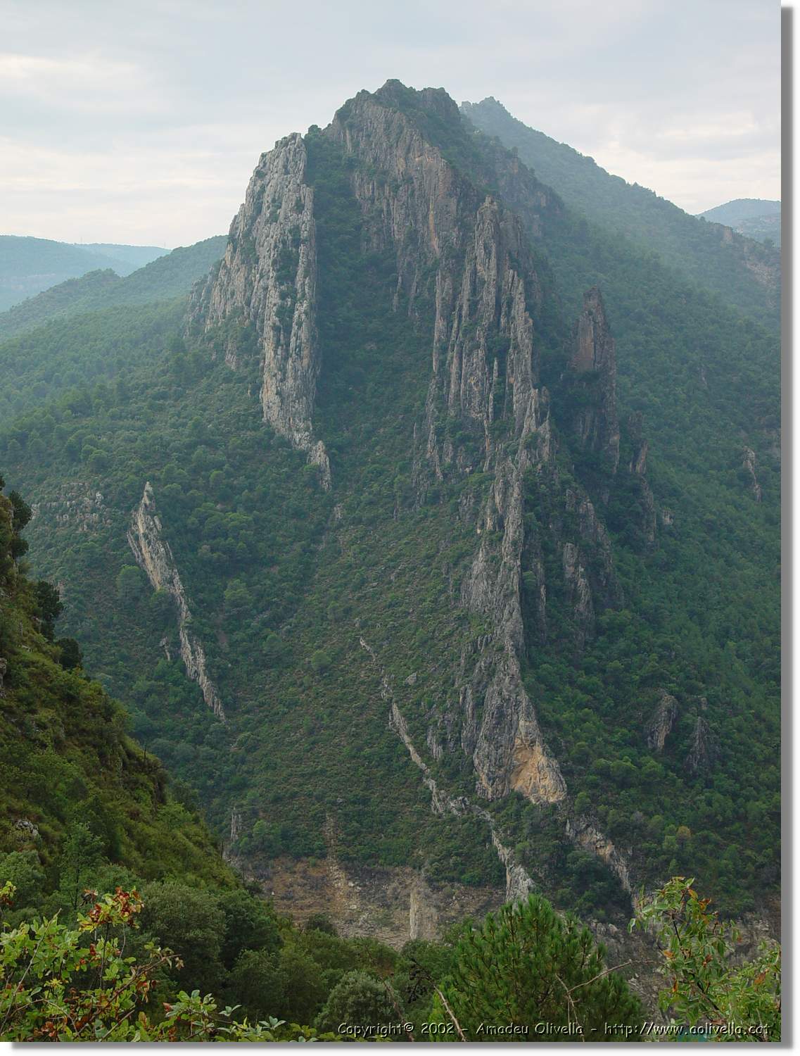 Ferrada_040.jpg