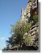Ferrada_010.jpg