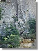 Ferrada_014.jpg