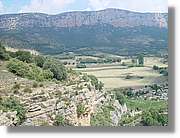 Ferrada_026.jpg