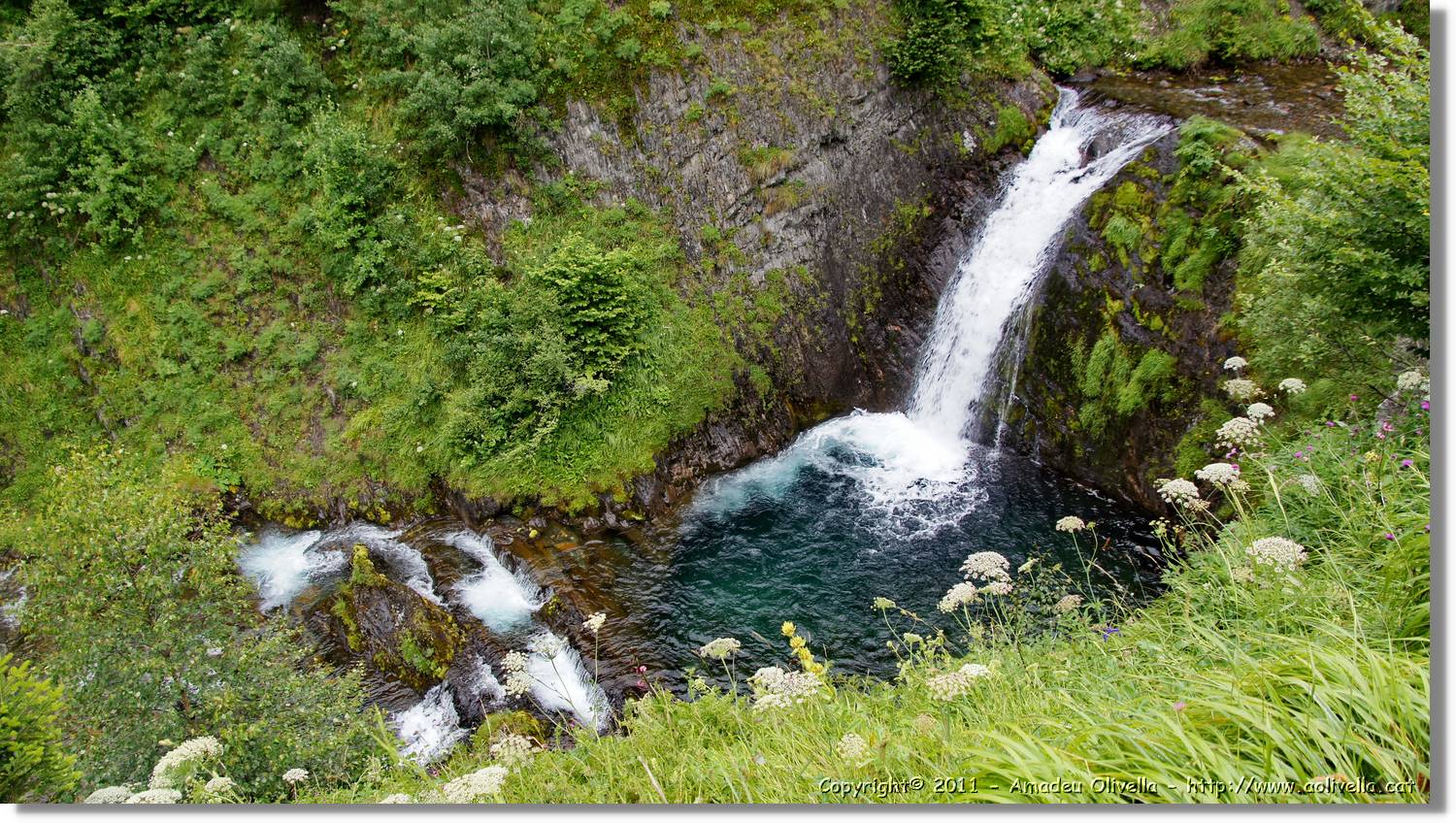 Saut_Pish_019.jpg