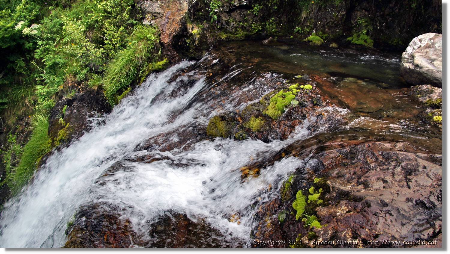 Saut_Pish_034.jpg