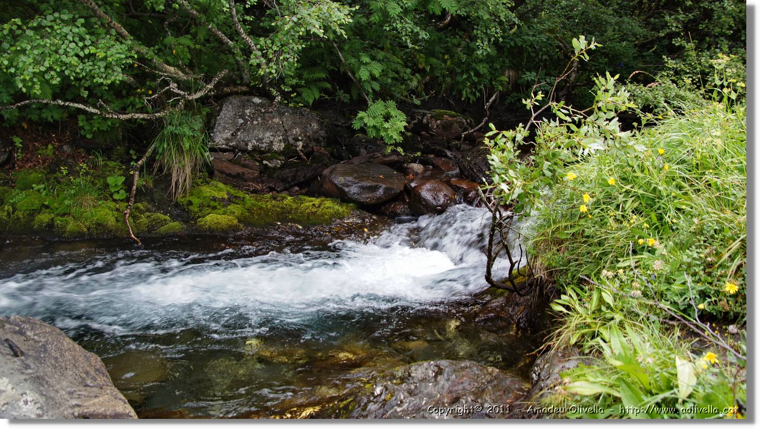 Saut_Pish_036.jpg