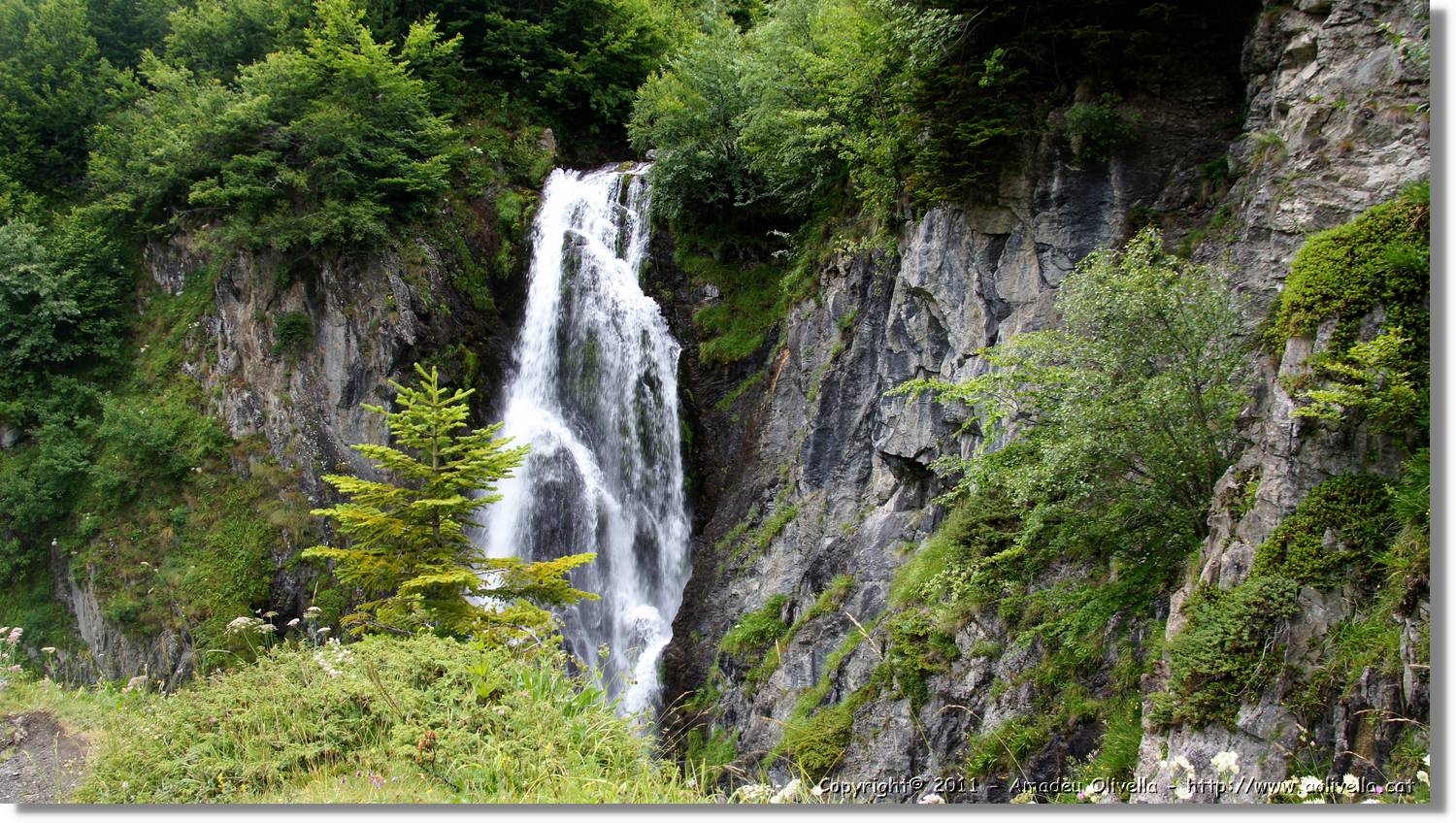 Saut_Pish_044.jpg