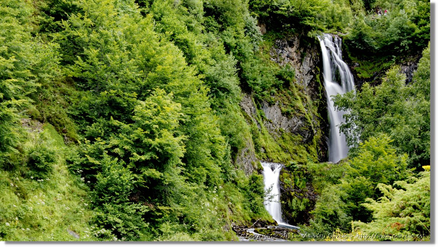 Saut_Pish_061.jpg