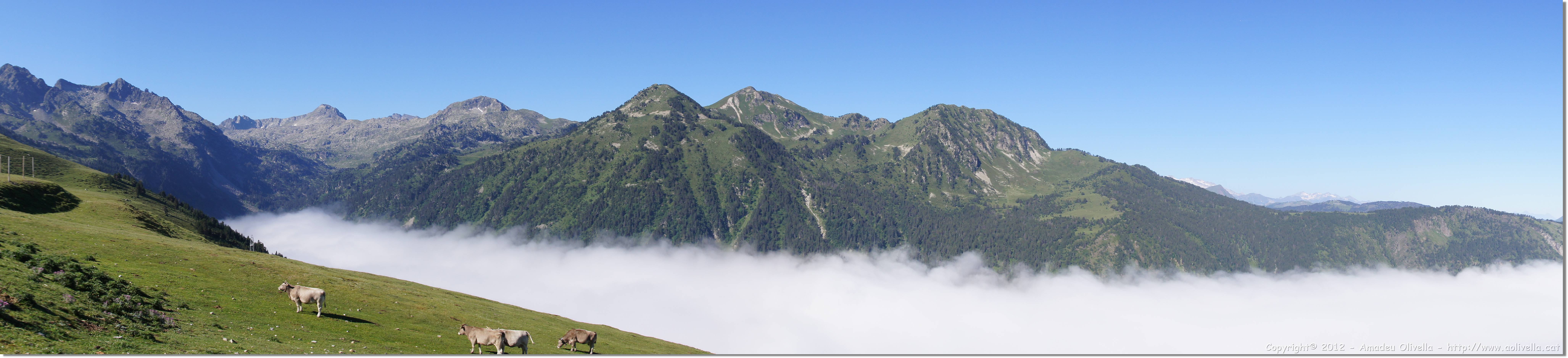 Pano_026.jpg