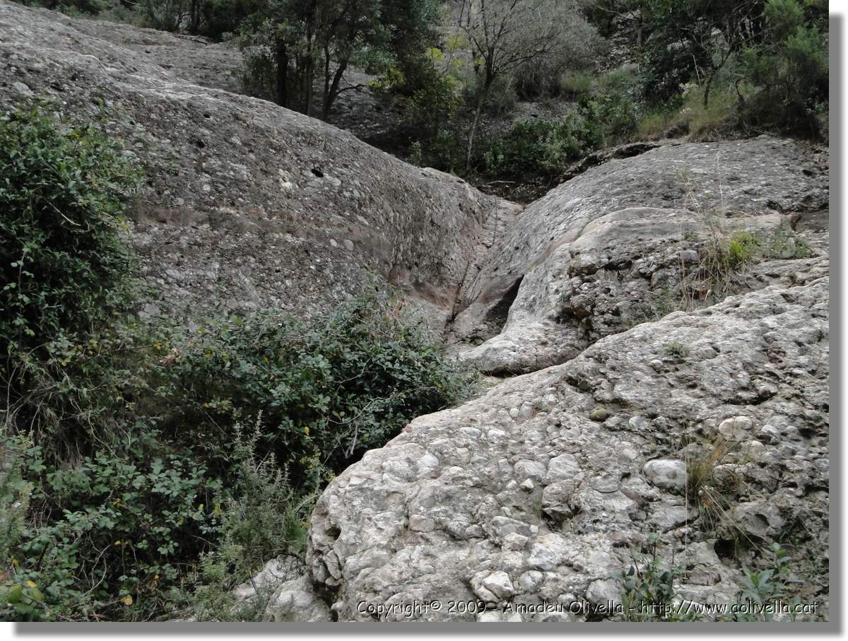 Montserrat_146.jpg