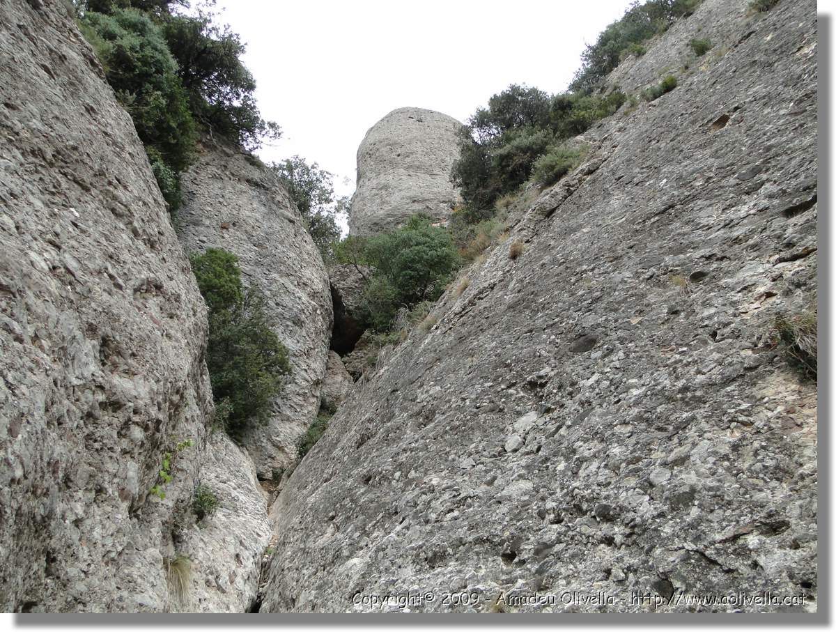 Montserrat_244.jpg