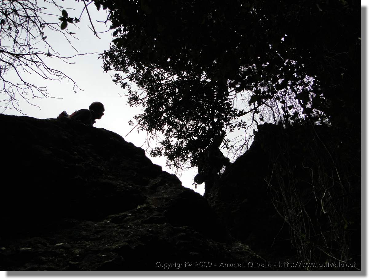 Montserrat_247.jpg