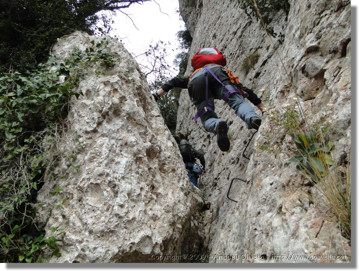 Montserrat_254.jpg