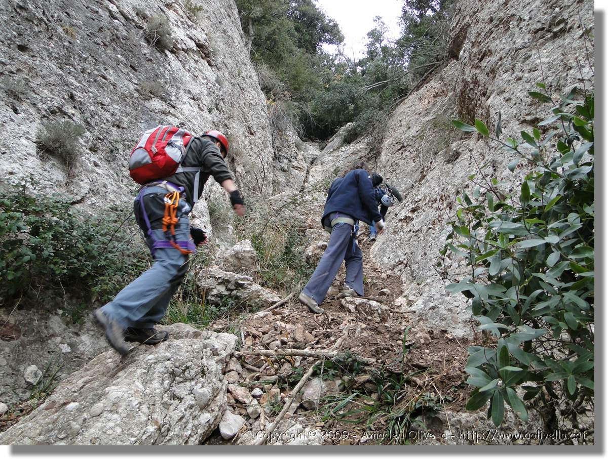 Montserrat_267.jpg