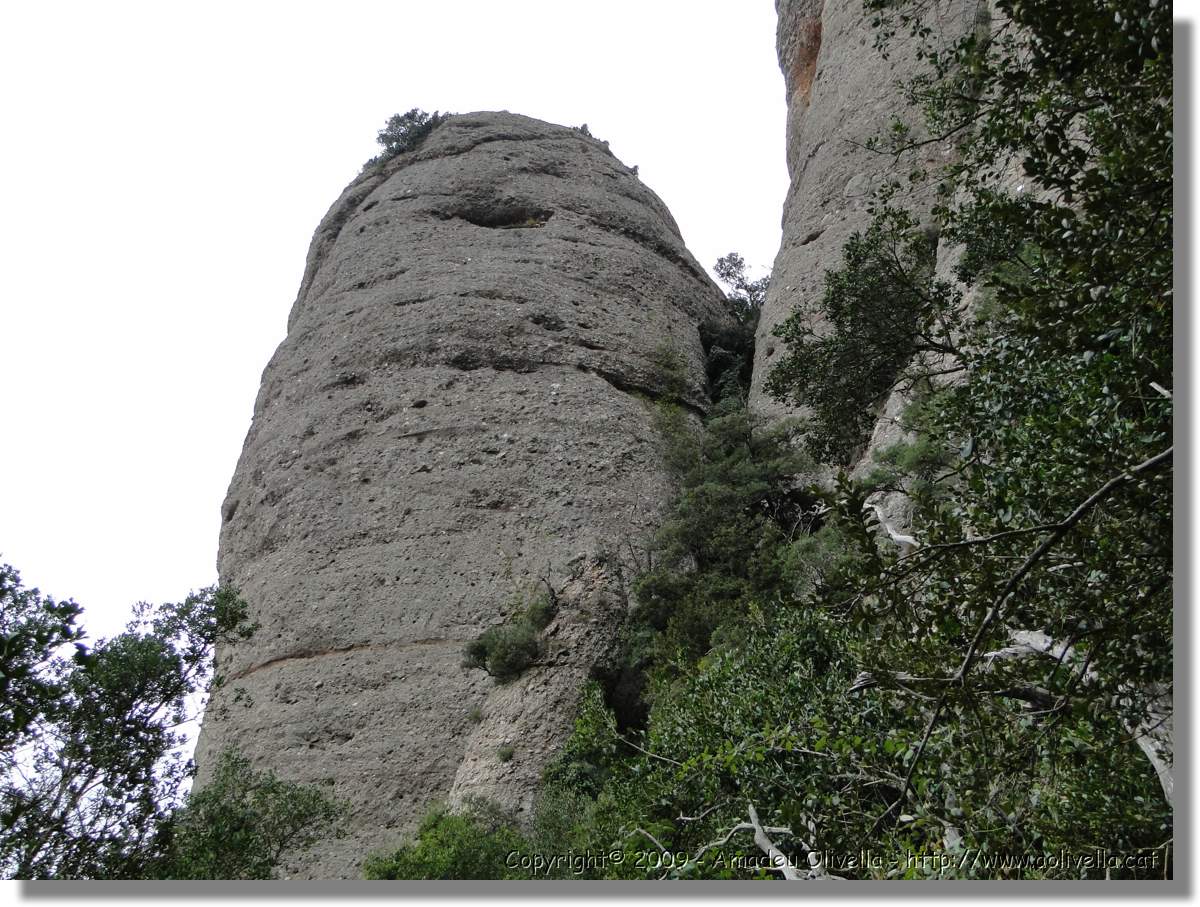 Montserrat_276.jpg