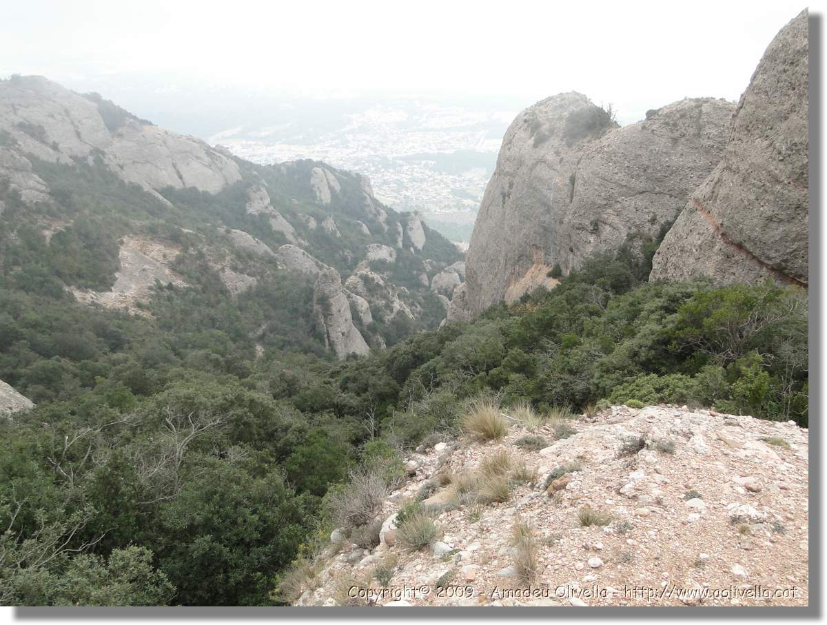 Montserrat_278.jpg