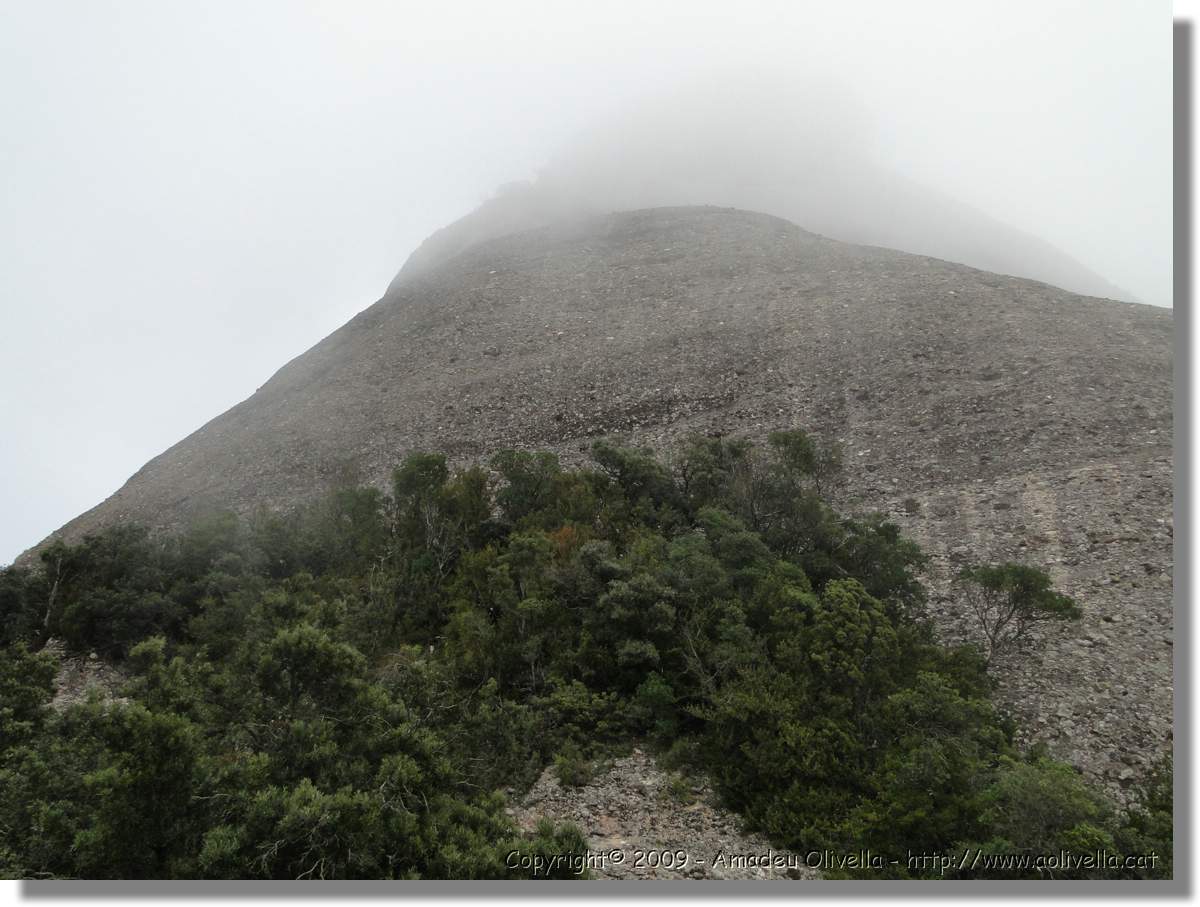 Montserrat_281.jpg