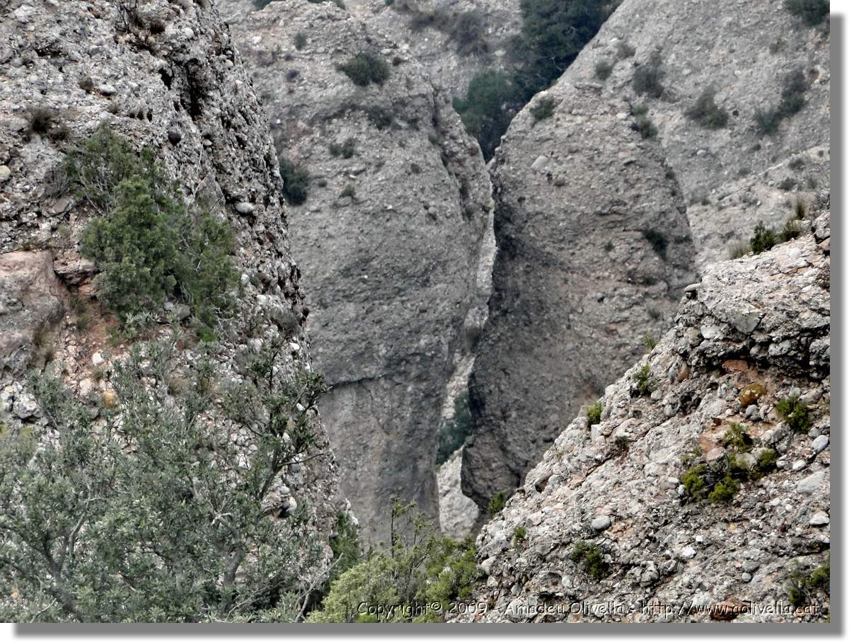 Montserrat_283.jpg