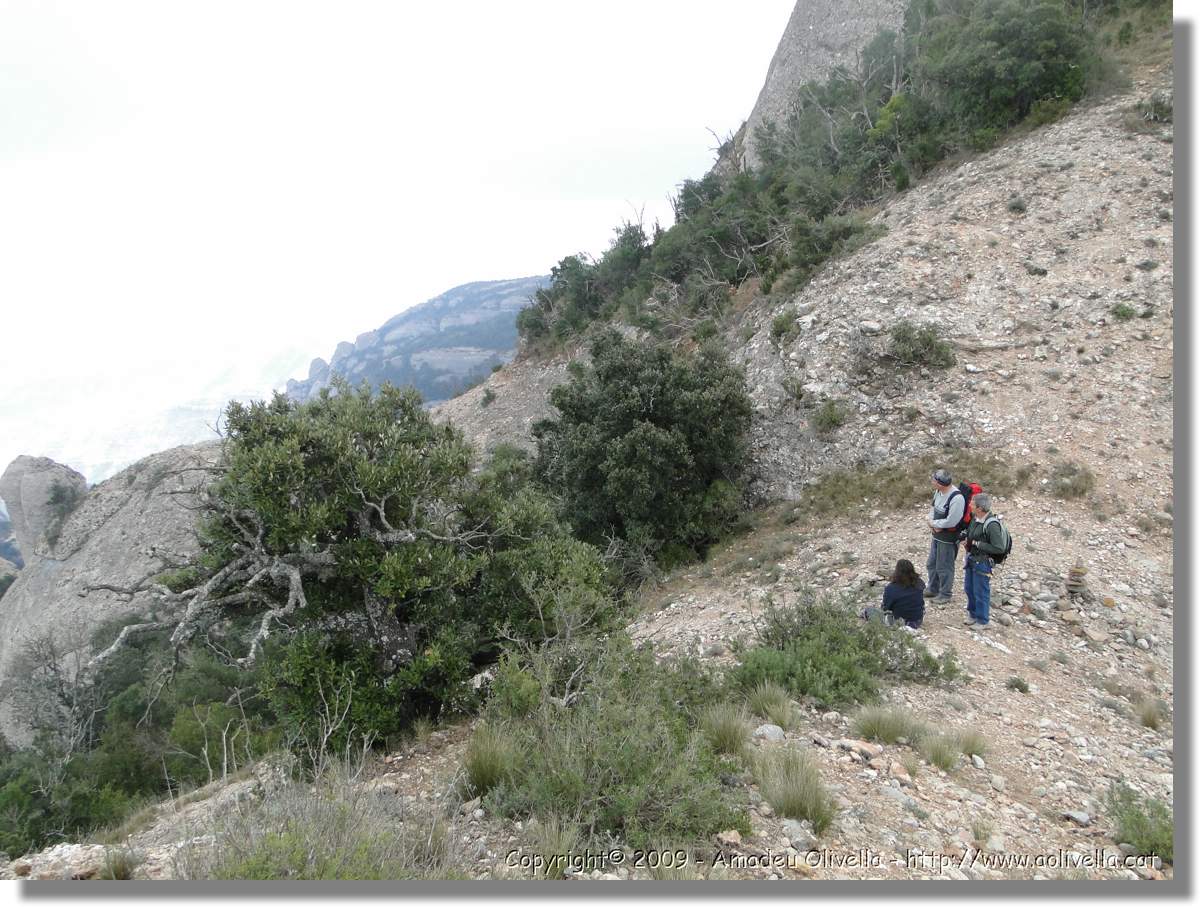 Montserrat_292.jpg