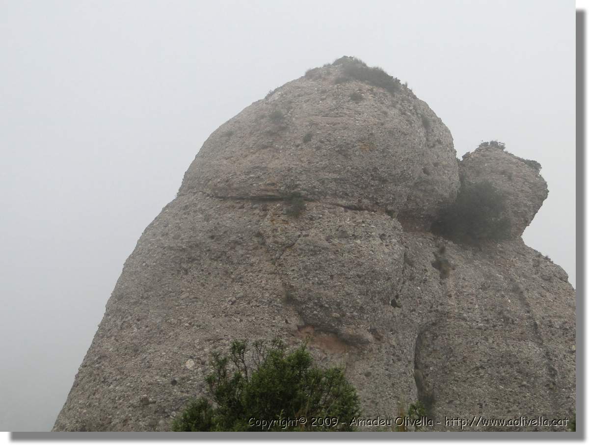 Montserrat_296.jpg