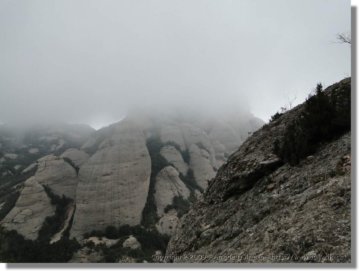 Montserrat_299.jpg