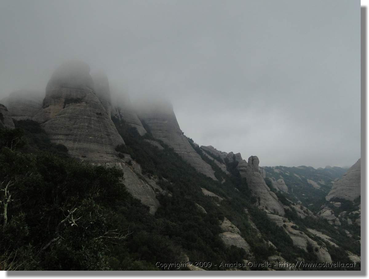 Montserrat_306.jpg