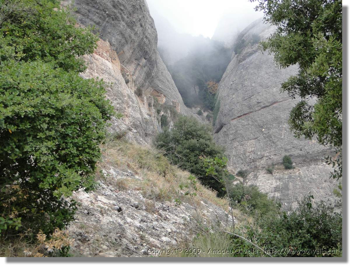 Montserrat_316.jpg