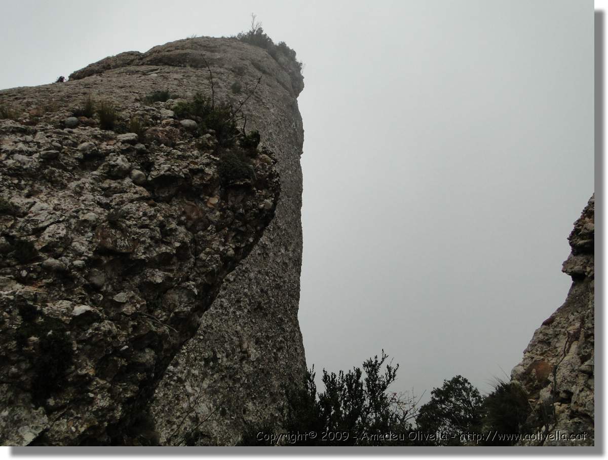 Montserrat_318.jpg