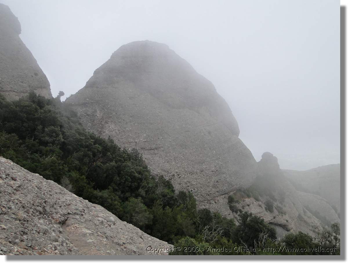 Montserrat_328.jpg