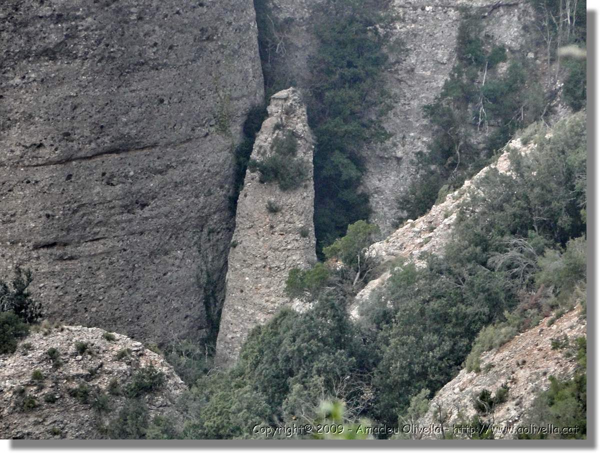 Montserrat_331.jpg