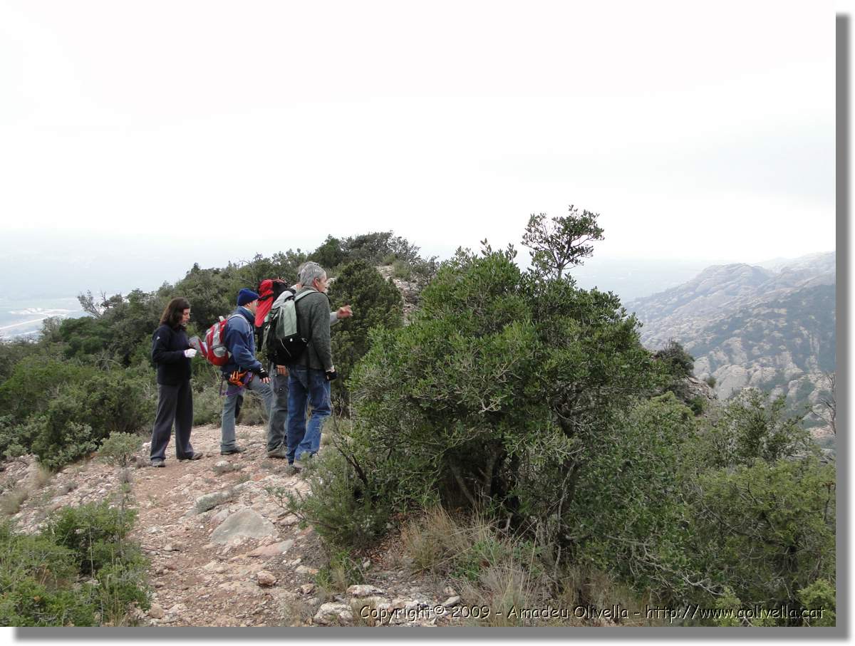 Montserrat_340.jpg