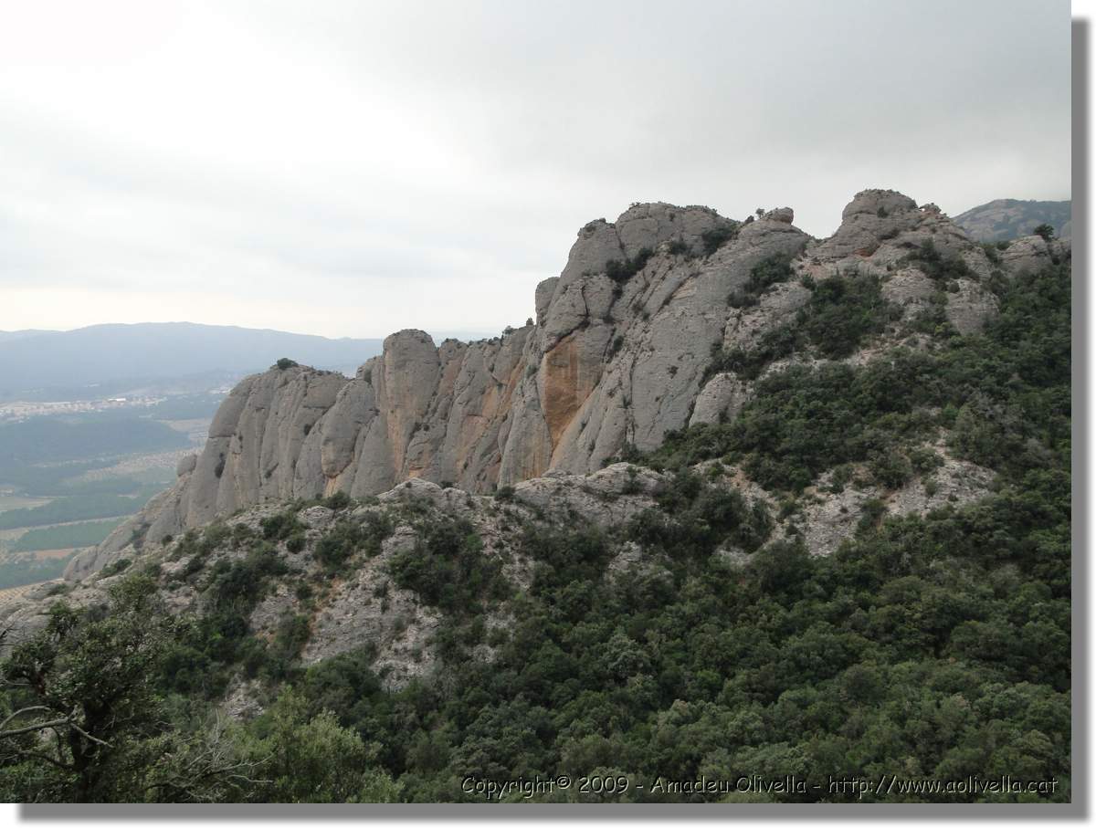 Montserrat_349.jpg