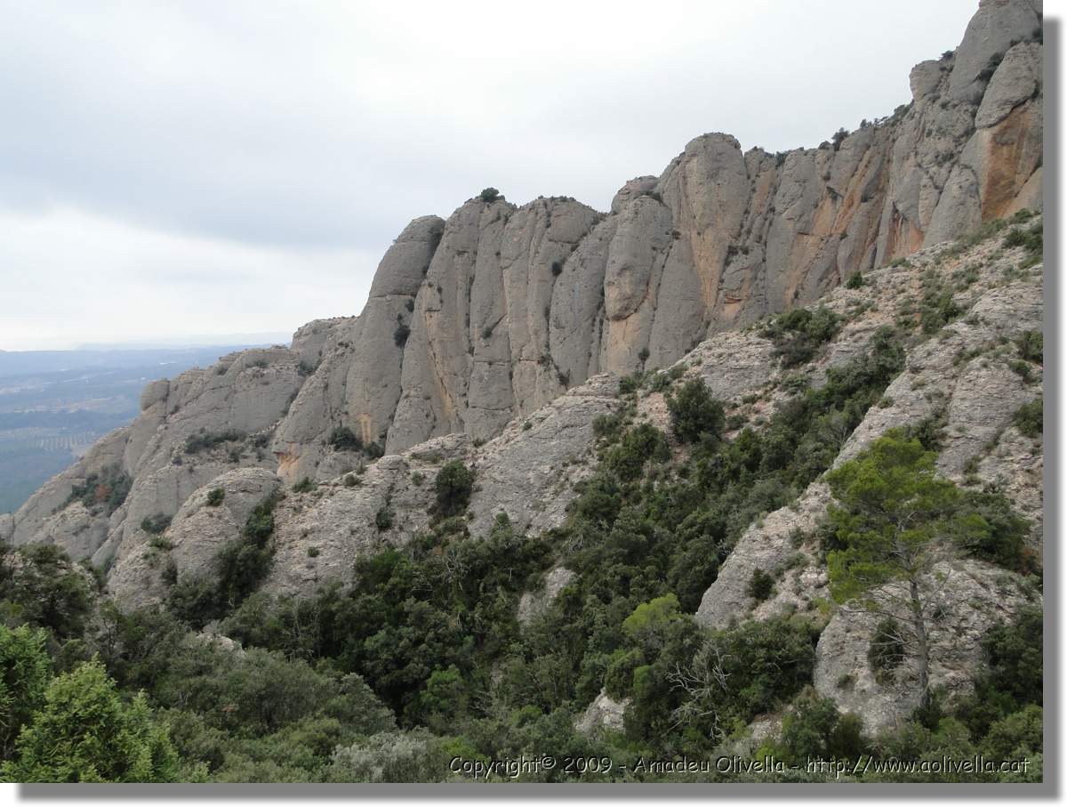 Montserrat_353.jpg