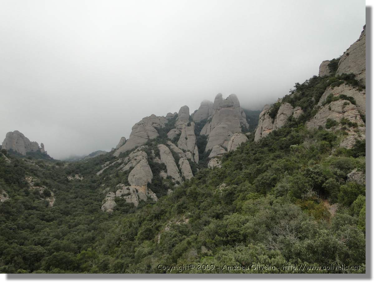 Montserrat_354.jpg
