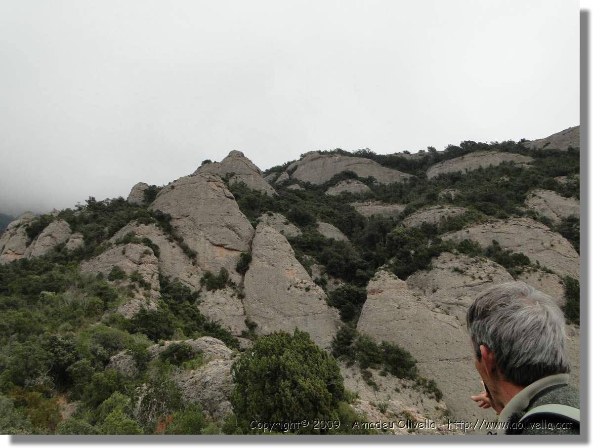 Montserrat_355.jpg