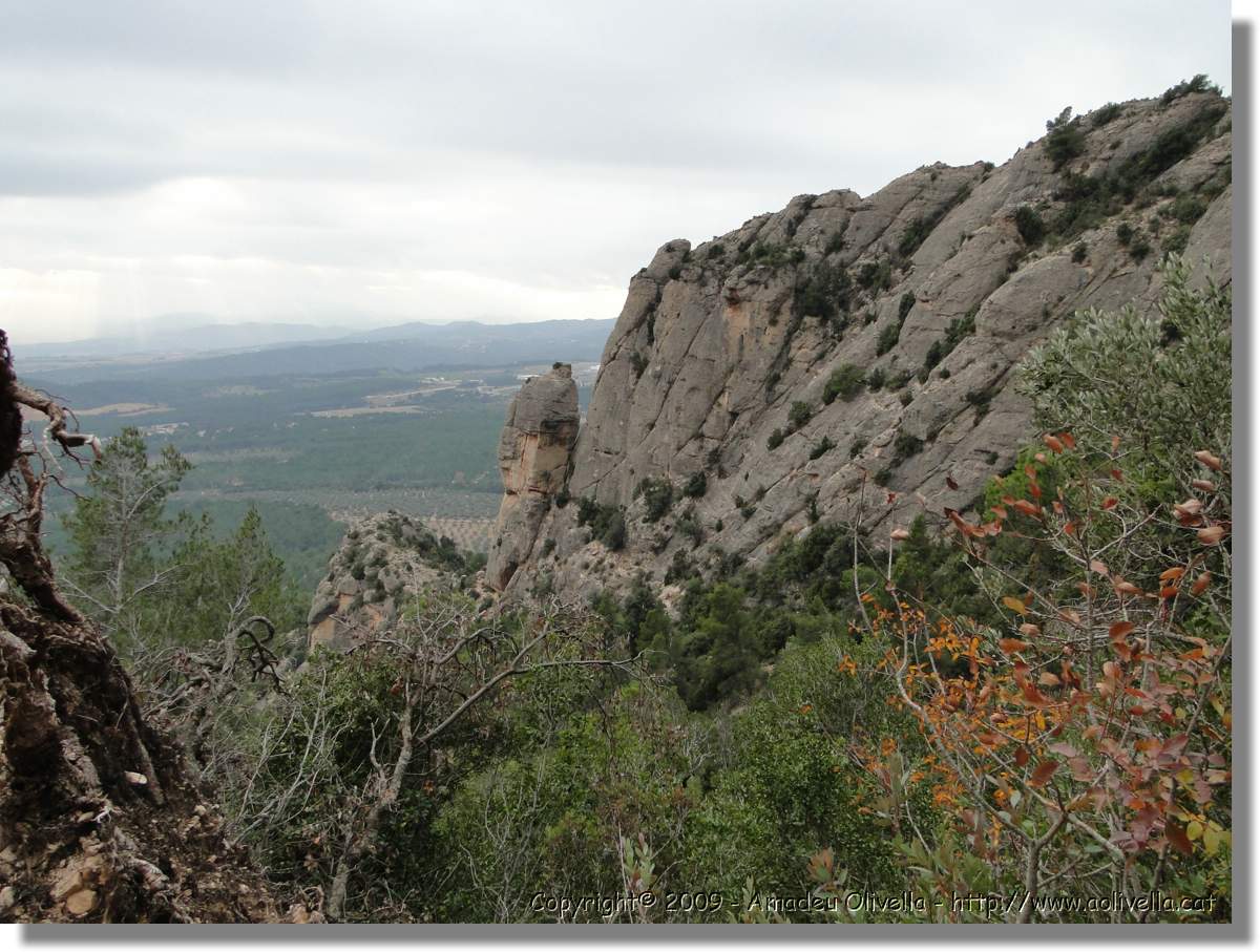 Montserrat_359.jpg
