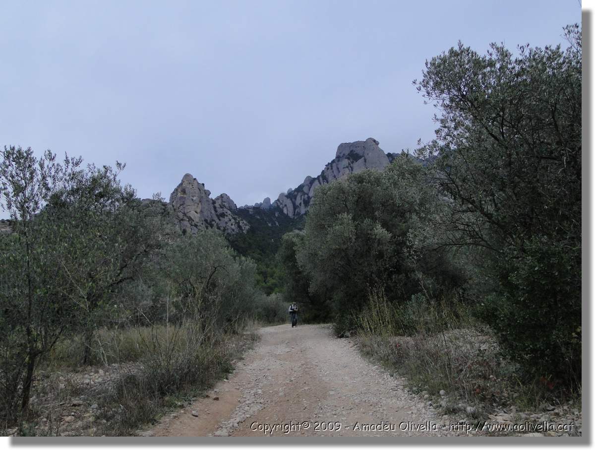 Montserrat_364.jpg