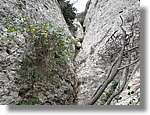 Montserrat_253.jpg