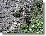 Montserrat_275.jpg