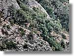 Montserrat_356.jpg