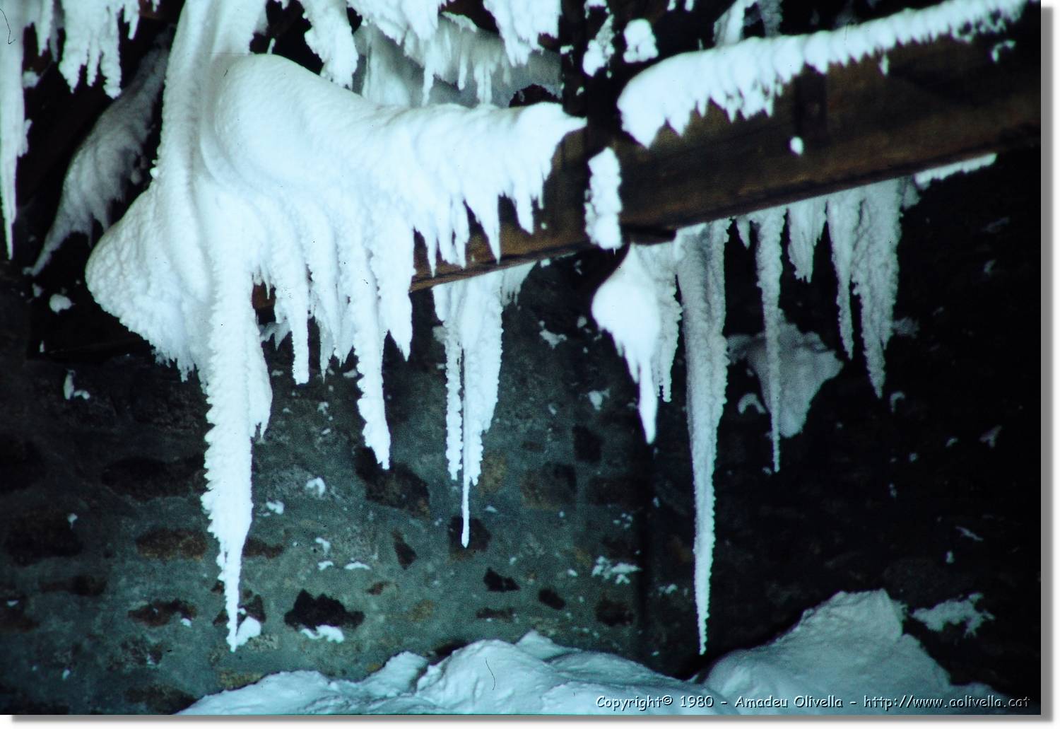 Cerdanya_010.jpg