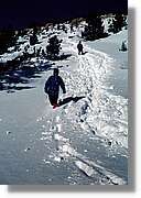 Cerdanya_020.jpg