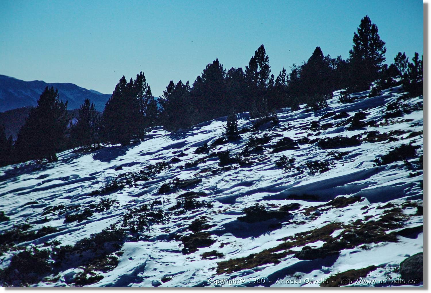 Cerdanya_044.jpg