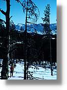 Cerdanya_039.jpg